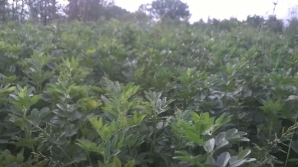 הוילה פדולה Agriturismo Tre Santi מראה חיצוני תמונה