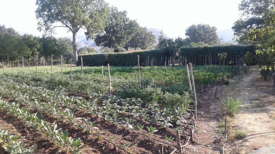 הוילה פדולה Agriturismo Tre Santi מראה חיצוני תמונה