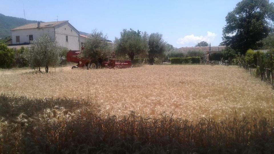 הוילה פדולה Agriturismo Tre Santi מראה חיצוני תמונה